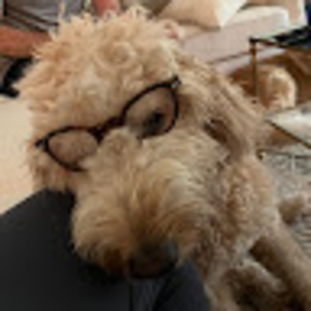 Meet your Posher, Carolyn